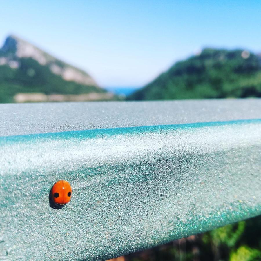 La Roccia Incantata Amalfi Coast Vietri 외부 사진