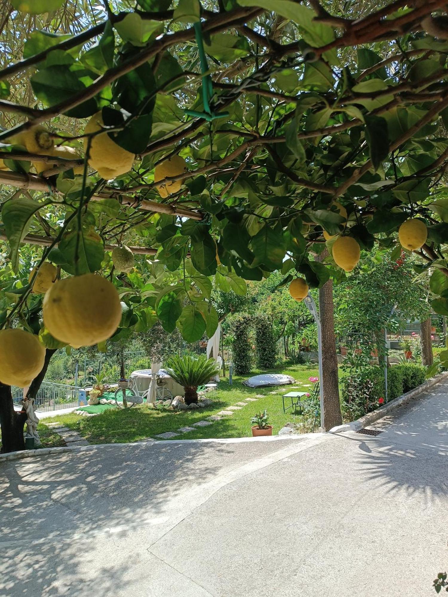 La Roccia Incantata Amalfi Coast Vietri 외부 사진